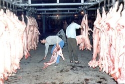 苏州市南环桥鲜肉批发市场