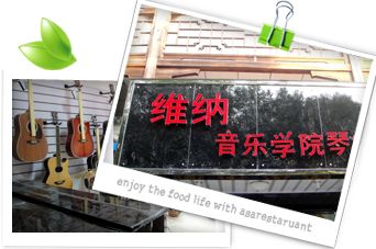 绍兴维纳音乐学院琴行