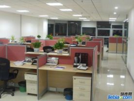 园区彩钢夹心板吊顶隔断，厂房轻质砖隔墙