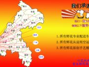 重庆鲜花店卖花网