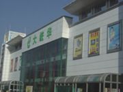 大统华