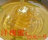 张氏蜂场