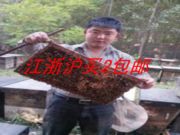 张氏蜂场