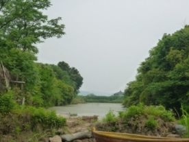 下渚湖原生态湿地风景区