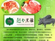 越冬黑猪肉专卖店