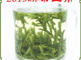 2013年新茶黄芽已经陆续上市
