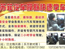 苏菲快速模拟学车