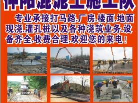 仲阳混泥土施工队
