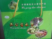 美国品种水果批发价送货上门