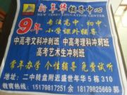 新年华辅导班