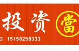 金豪投资