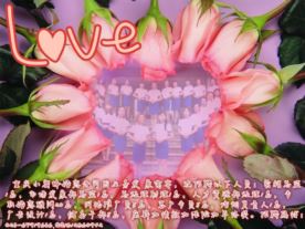 重庆小蜜蜂婚恋顾问有限公司