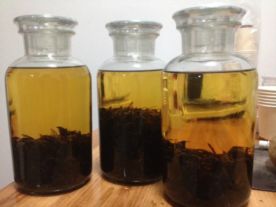3年泡的马蜂酒