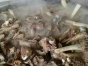 鑫鑫美食