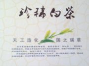 寿县南门外大别山茶行