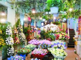 花尚鲜花(安康路店)