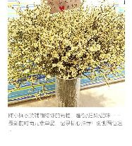 陈小娴衣货铺