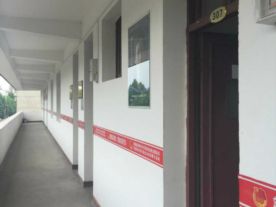 美淘电商