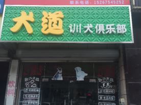 犬道训犬宠物店