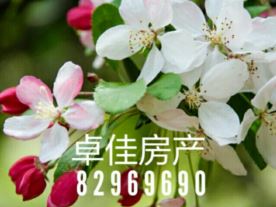卓佳房产