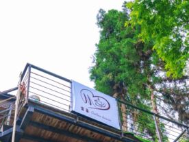 莫干山蜜巢民宿
