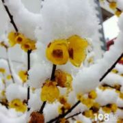 轻轻的带走一片云