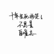 ZH我行我素