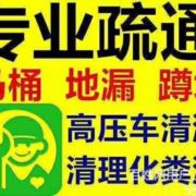 tcy~187046119