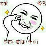 歌只是个人物