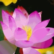 我要出去散心