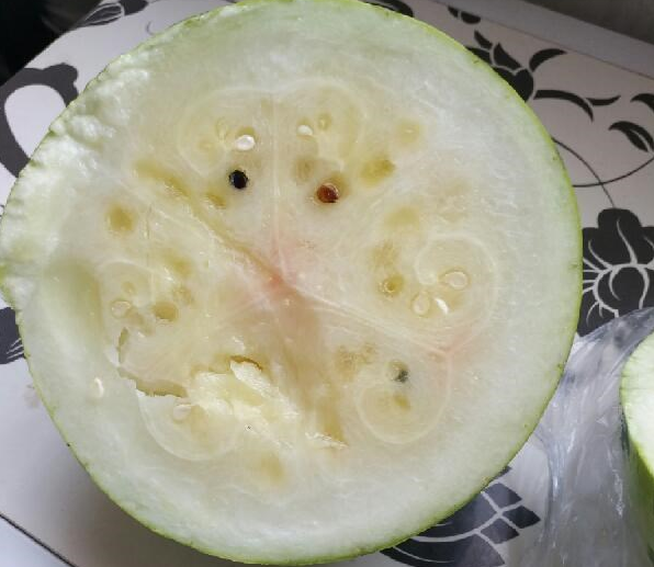 剖了个西瓜,瓜瓤居然没有一点红色