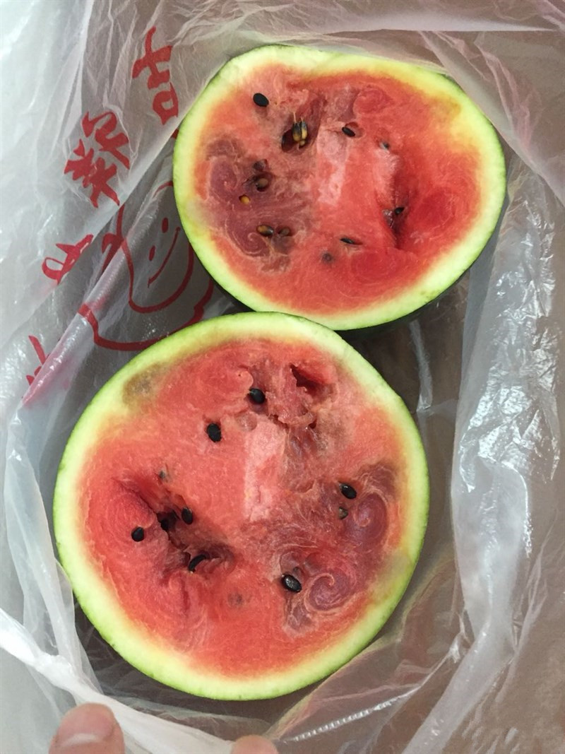 10块钱2个的西瓜你还敢买吗?从芯子里拼了命的往外烂