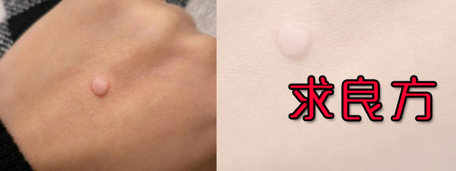 老鼠奶,求良方!