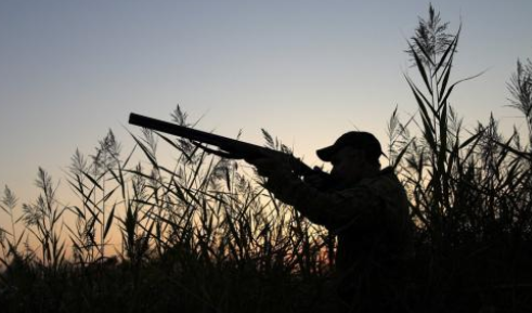 六旬老汉爱打猎 购买猎枪和30发子弹打野味被刑拘